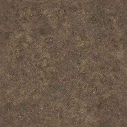 Bare Soil