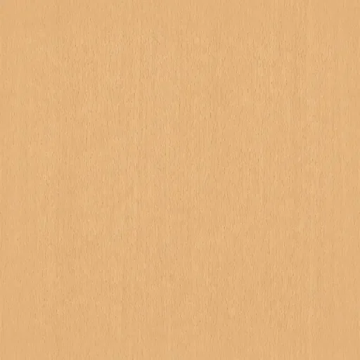 Beech