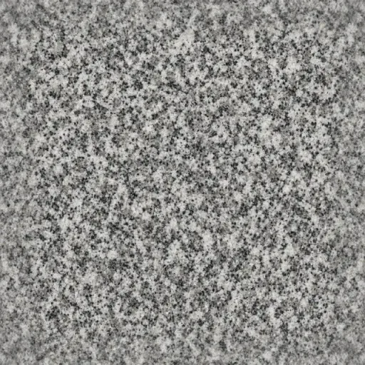 Granite