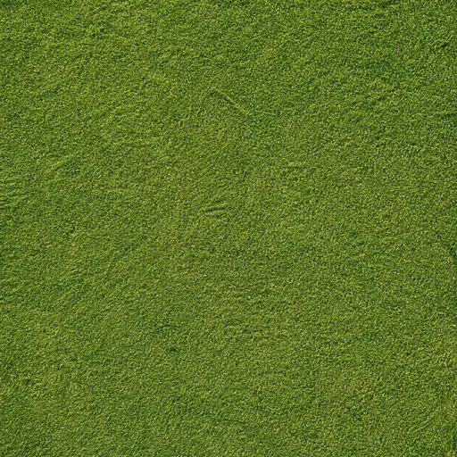 Lawn / Natural Grass